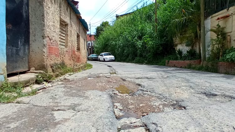 el castaño