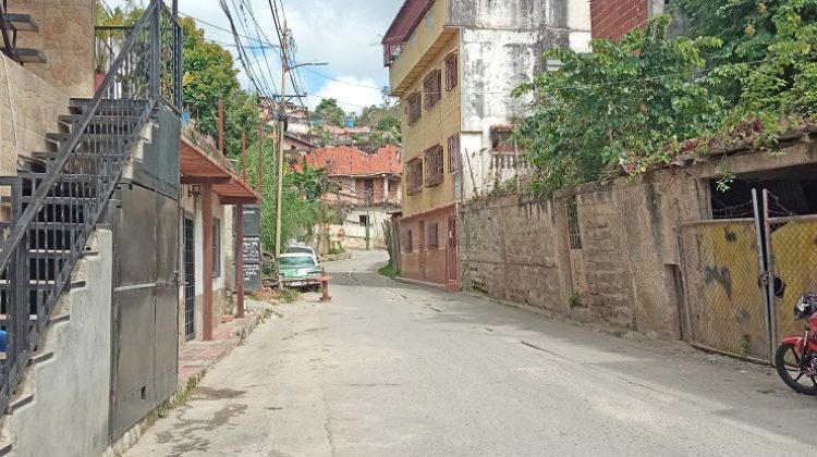 el castaño