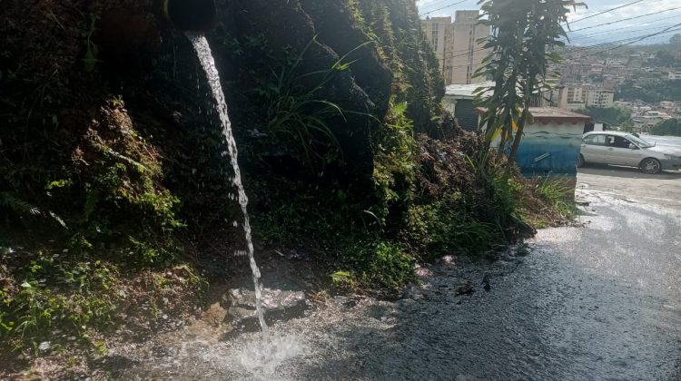 el panadero