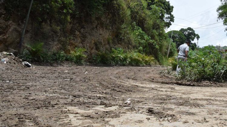 el pantano