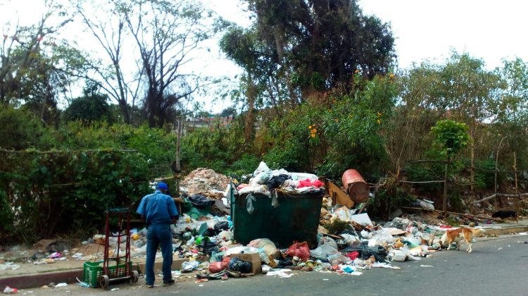 el trigo basura