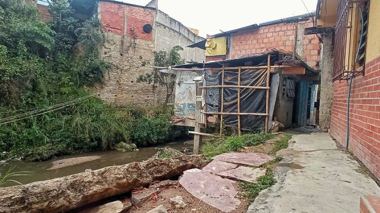 el vigia, luis maizo