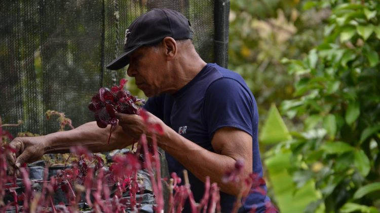 f91d37af-5872-4a73-8cc3-f234d2b8ed1f