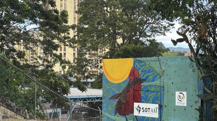 fbe3e699-a471-4d19-b2c4-a5b6b53aeaa4