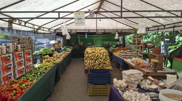 feria La Grita