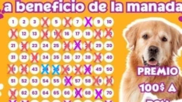 foto 1 - favor unir con la foto 2
