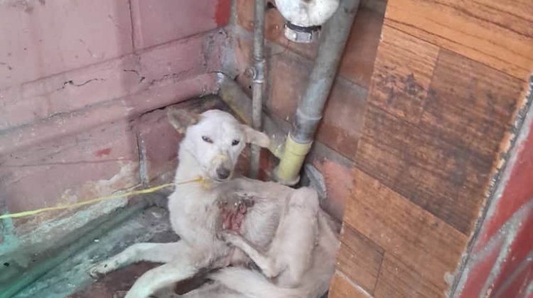 foto foto