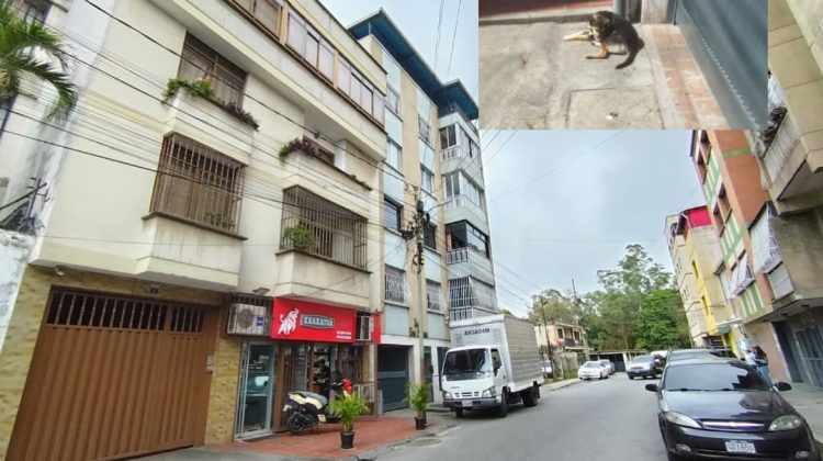 foto para la pagina web