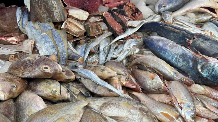 fotografia semana santa 5