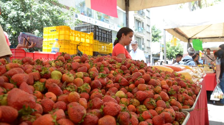 frutas-FRESAS