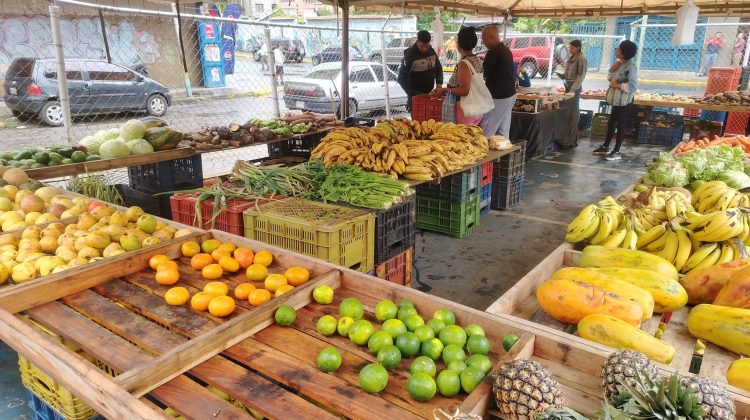 frutas y verduras Frank Gil