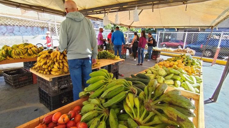 fruteria