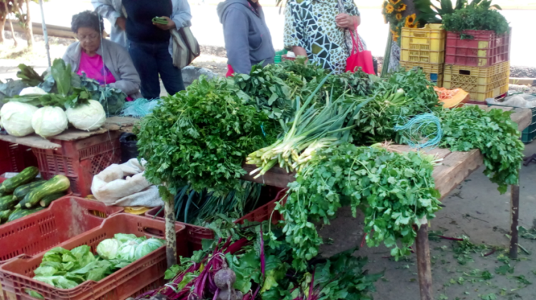 hortalizas ventas legumbre