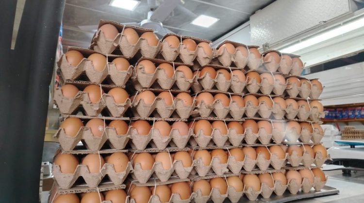 huevos huevos