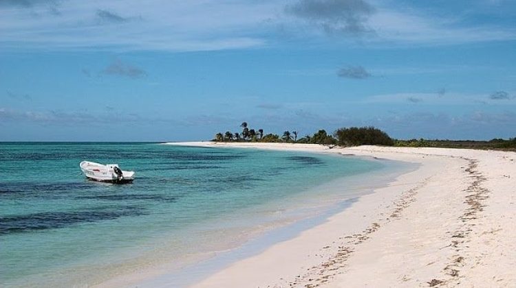 isla_de_aves.jpg_1224366568