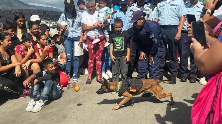 jornada polimiranda
