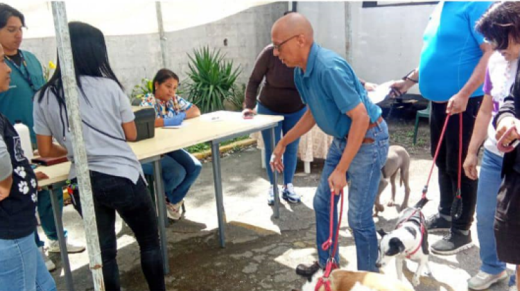 jornada veterinaria