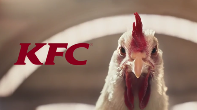 kfc-anuncio-polloç