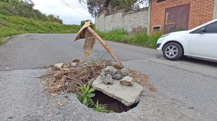 la fosforera, luis maizo