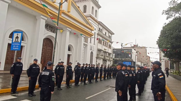 la institucion policial