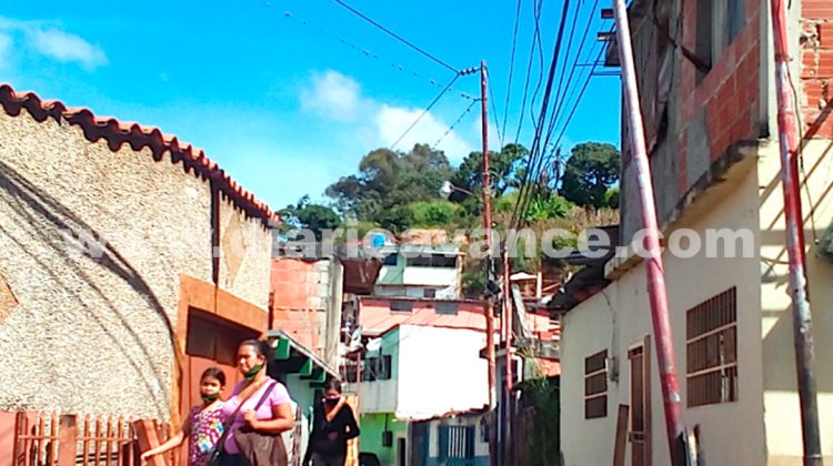 la linea marca