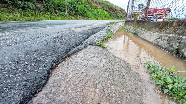 los cales, luis maizo1