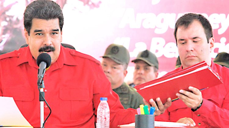 maduro630mm101214w