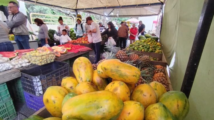 mercadito Los Salias mercadito Los Salias