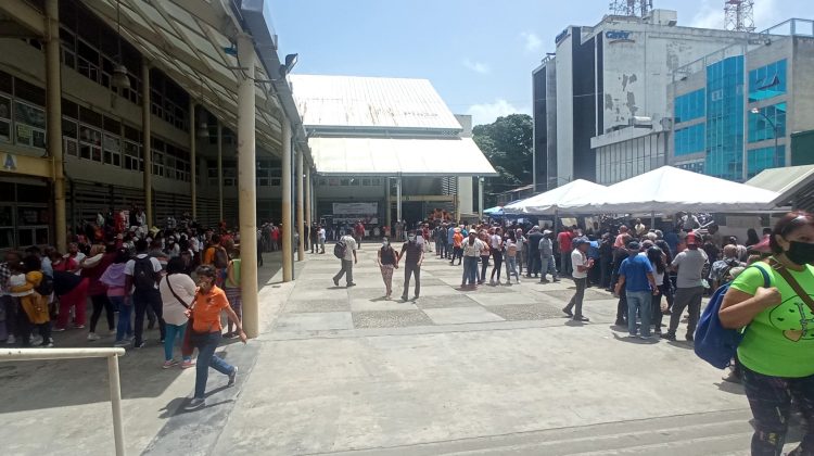 mercado plaza ferias