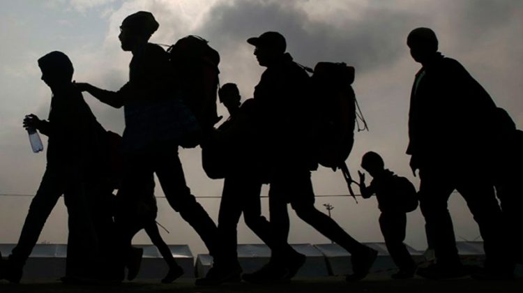 migrantes19