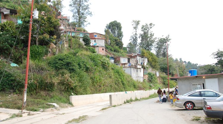 muerto la pradera