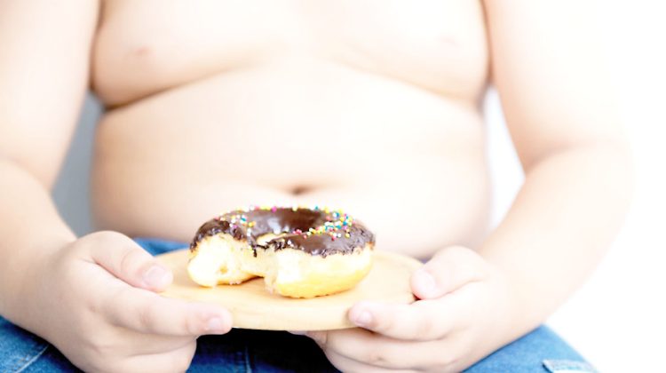 donut on wood dish in hand obese fat boy on gray background, selective and soft focus on donut