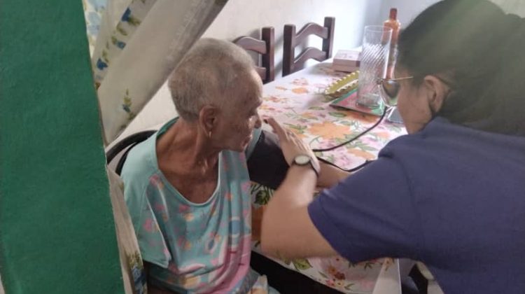 pacientes en gallo pelon 2