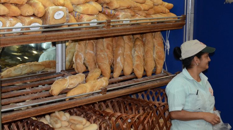 panaderia