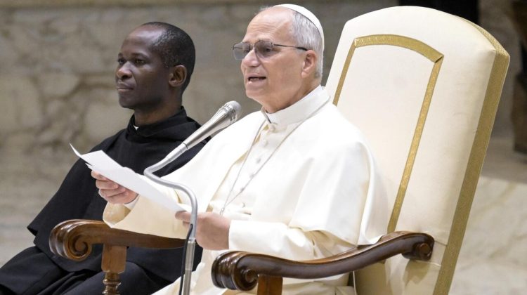 El Papa León XIV dirige una audiencia con los donantes del árbol de Navidad y el pesebre en el Aula Pablo VI, Ciudad del Vaticano, el 15 de diciembre de 2025. (Papa) EFE/EPA/RICCARDO ANTIMIANI