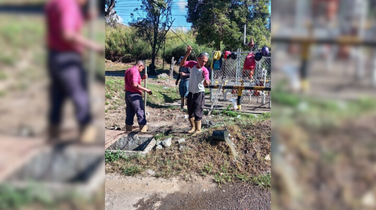 para fotos de la web (14)