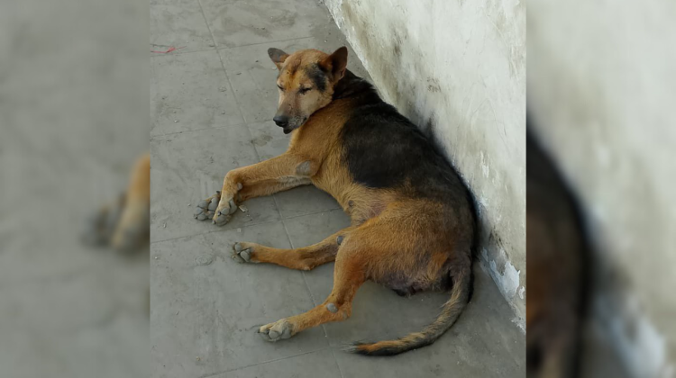 para fotos de la web - 2025-11-15T163543.841