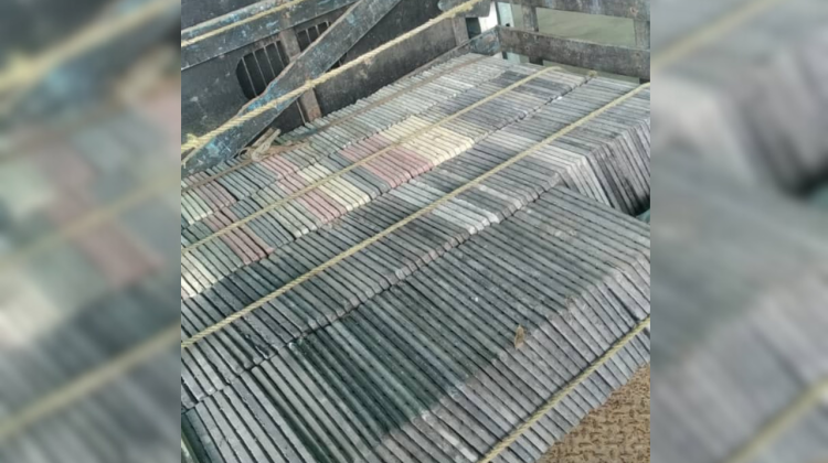 para fotos de la web - 2025-11-25T184719.295