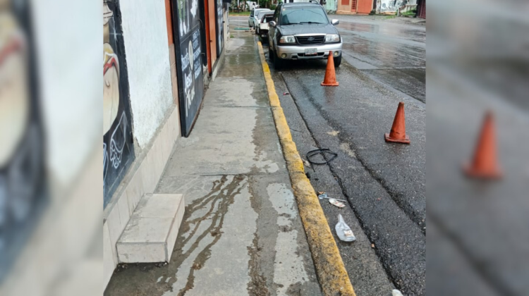 para fotos de la web - 2025-11-29T171619.311