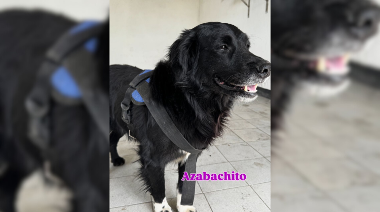 para fotos de la web - 2025-12-11T183823.260