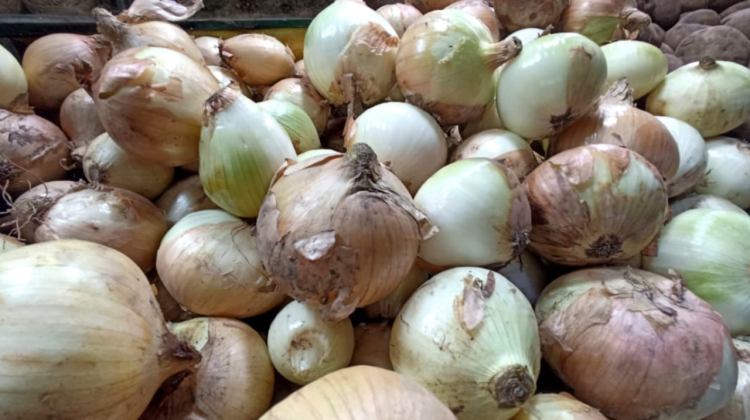 para fotos de la web - 2025-12-13T183615.967