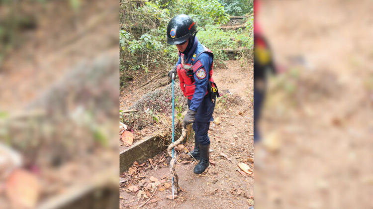 para fotos de la web - 2026-03-18T161008.853