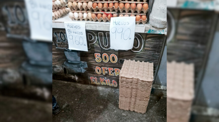 para fotos de la web (24)