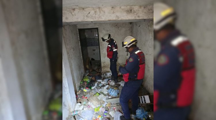 para fotos de la web (28)