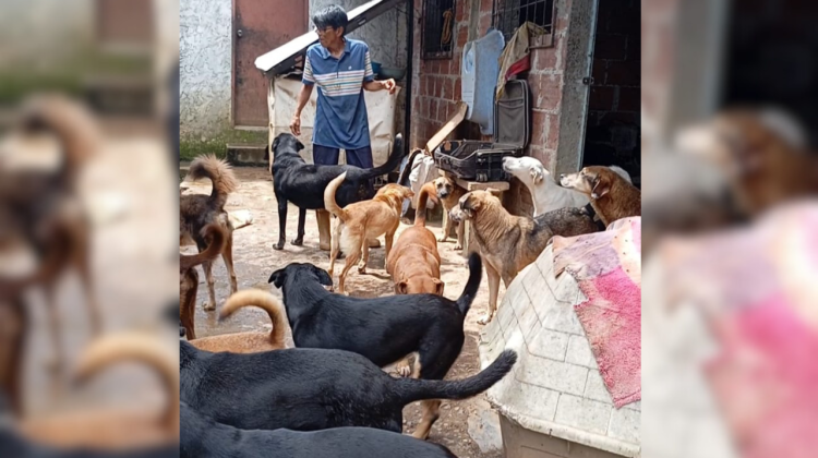 para fotos de la web (29)