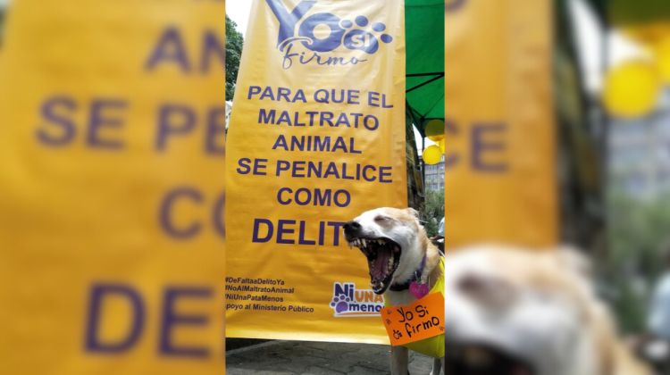 para fotos de la web (37)