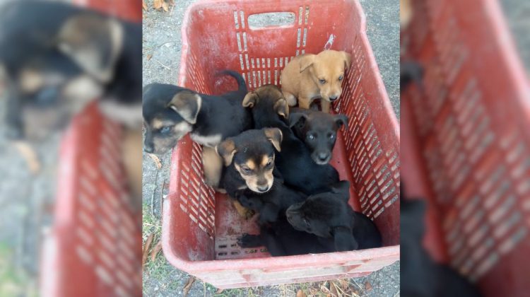 para fotos de la web (48)