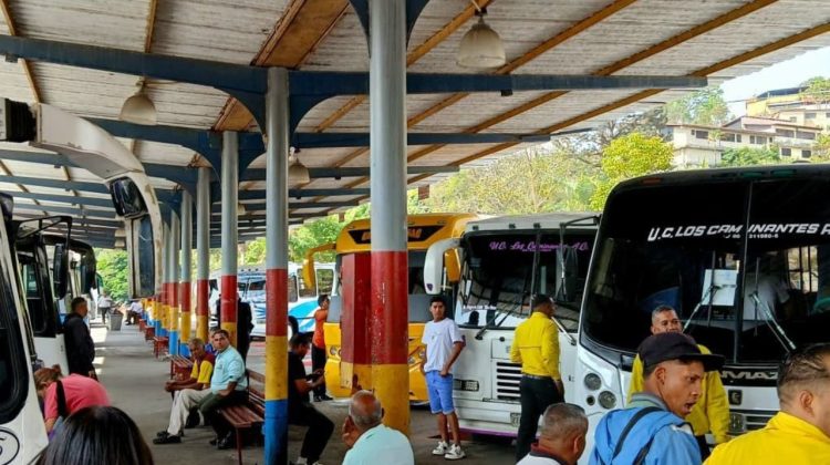 para fotos de la web (53)