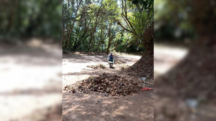 para fotos de la web (58)