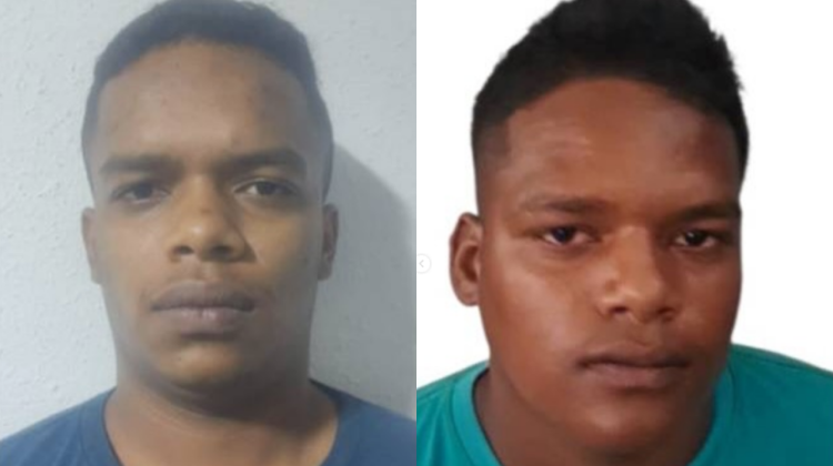 para fotos de la web (66) para fotos de la web (66)